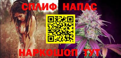 гашик Нарткала