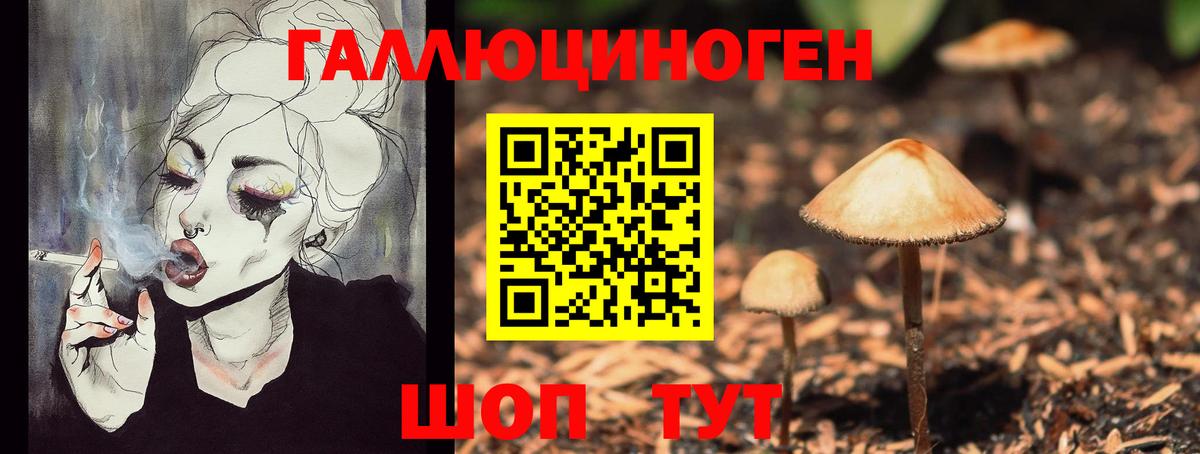 Галлюциногенные грибы прущие грибы  Вход с VPN  Тавда 