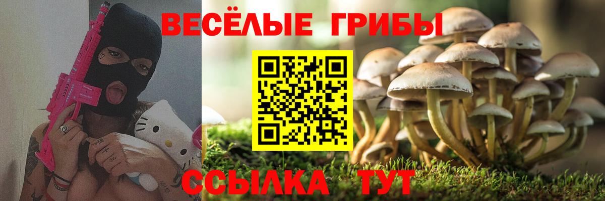 Галлюциногенные грибы мицелий Тавда